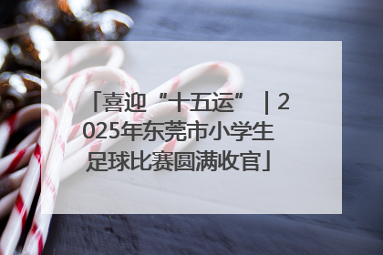 喜迎“十五运”｜2025年东莞市小学生足球比赛圆满收官