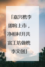 嘉兴槜李即将上市，净相村开共富工坊做槜李文创