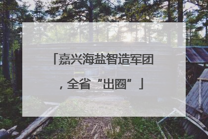 嘉兴海盐智造军团，全省“出圈”