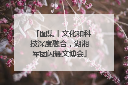 图集丨文化和科技深度融合，湖湘军团闪耀文博会
