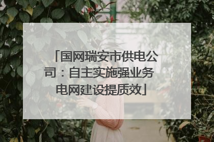 国网瑞安市供电公司：自主实施强业务 电网建设提质效