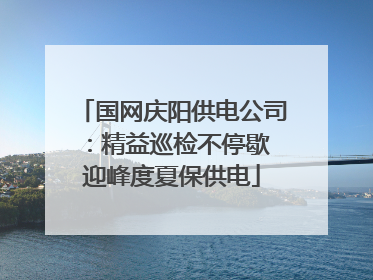 国网庆阳供电公司：精益巡检不停歇 迎峰度夏保供电