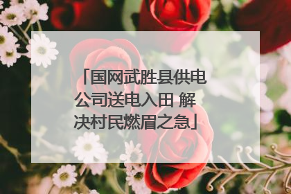 国网武胜县供电公司送电入田 解决村民燃眉之急
