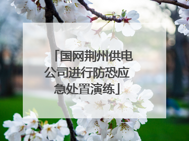 国网荆州供电公司进行防恐应急处置演练