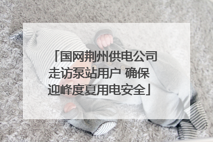 国网荆州供电公司走访泵站用户 确保迎峰度夏用电安全