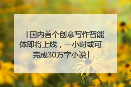 国内首个创意写作智能体即将上线，一小时或可完成30万字小说