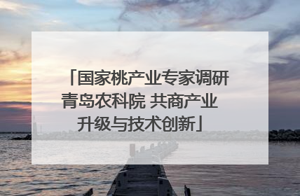 国家桃产业专家调研青岛农科院 共商产业升级与技术创新