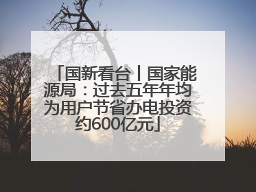国新看台丨国家能源局：过去五年年均为用户节省办电投资约600亿元