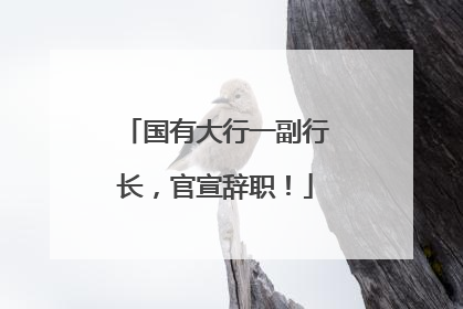 国有大行一副行长，官宣辞职！