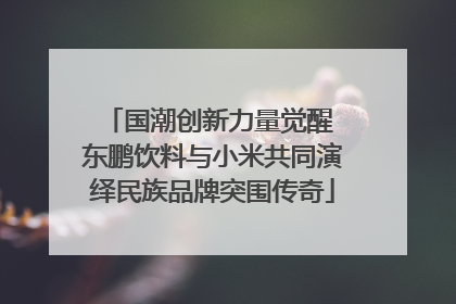 国潮创新力量觉醒 东鹏饮料与小米共同演绎民族品牌突围传奇