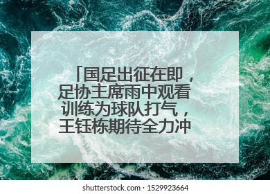 国足出征在即，足协主席雨中观看训练为球队打气，王钰栋期待全力冲击印尼队
