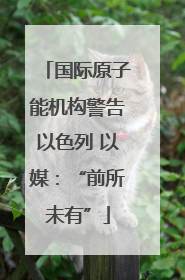 国际原子能机构警告以色列 以媒：“前所未有”