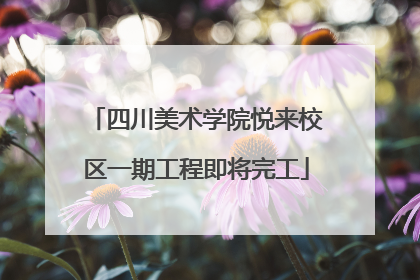 四川美术学院悦来校区一期工程即将完工