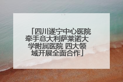 四川遂宁中心医院牵手意大利萨莱诺大学附属医院 四大领域开展全面合作