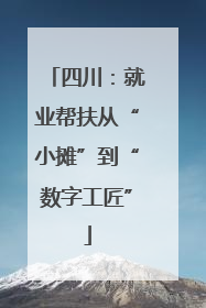四川：就业帮扶从“小摊”到“数字工匠”