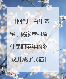 回到三百年老宅，杨家堂村原住民把童年的乡愁开成了民宿