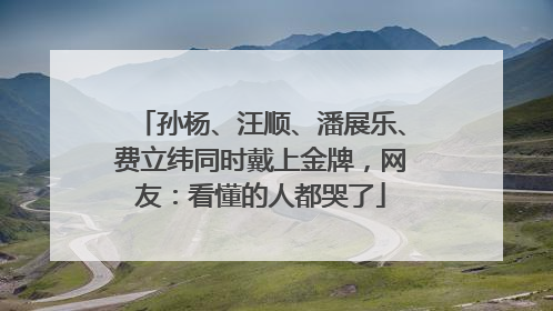 孙杨、汪顺、潘展乐、费立纬同时戴上金牌，网友：看懂的人都哭了