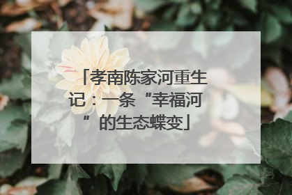 孝南陈家河重生记：一条“幸福河”的生态蝶变