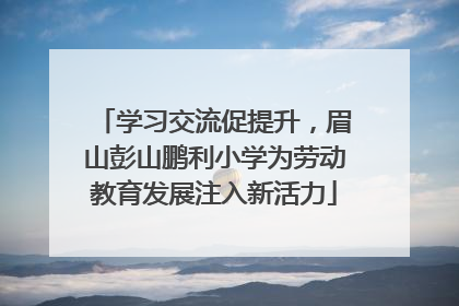 学习交流促提升，眉山彭山鹏利小学为劳动教育发展注入新活力