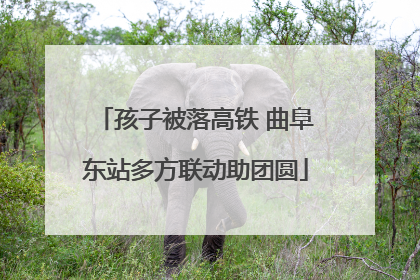 孩子被落高铁 曲阜东站多方联动助团圆