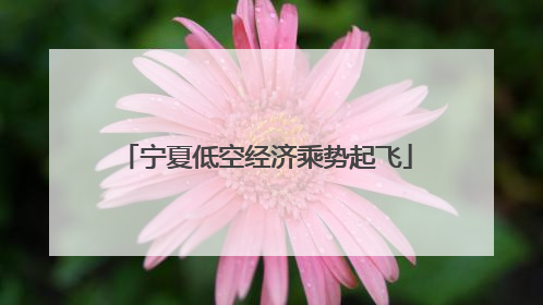 宁夏低空经济乘势起飞