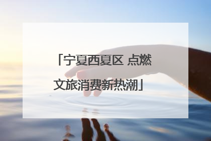宁夏西夏区 点燃文旅消费新热潮