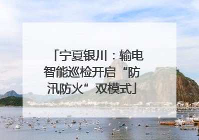 宁夏银川：输电智能巡检开启“防汛防火”双模式