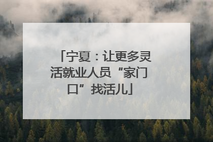 宁夏：让更多灵活就业人员“家门口”找活儿