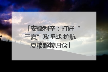 安徽利辛：打好“三夏”攻坚战 护航夏粮颗粒归仓