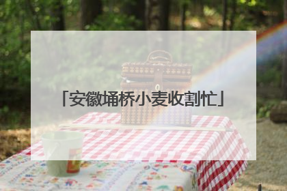 安徽埇桥小麦收割忙
