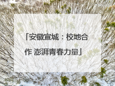 安徽宣城：校地合作 澎湃青春力量