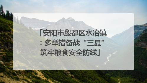 安阳市殷都区水冶镇：多举措备战“三夏” 筑牢粮食安全防线