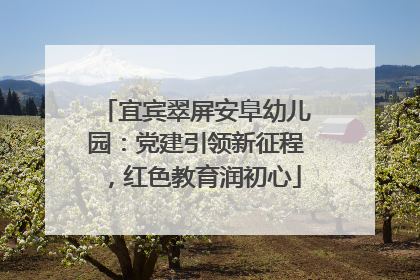 宜宾翠屏安阜幼儿园：党建引领新征程，红色教育润初心