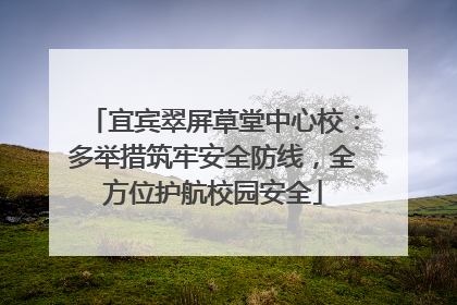 宜宾翠屏草堂中心校：多举措筑牢安全防线，全方位护航校园安全