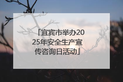 宜宾市举办2025年安全生产宣传咨询日活动
