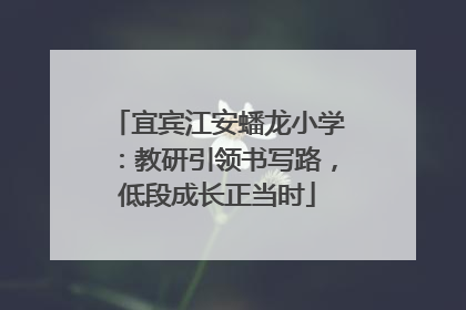 宜宾江安蟠龙小学：教研引领书写路，低段成长正当时