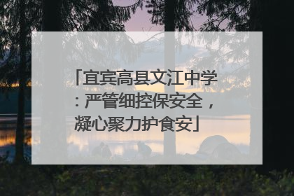 宜宾高县文江中学：严管细控保安全，凝心聚力护食安