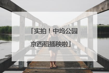 实拍！中坞公园京西稻插秧啦