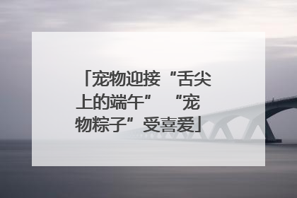 宠物迎接“舌尖上的端午” “宠物粽子”受喜爱