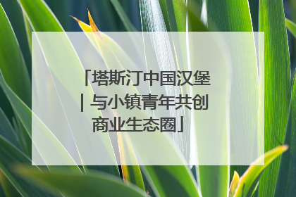 塔斯汀中国汉堡｜与小镇青年共创商业生态圈