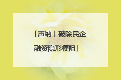 声纳丨破除民企融资隐形梗阻
