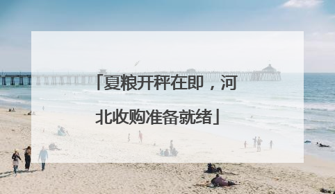 夏粮开秤在即，河北收购准备就绪