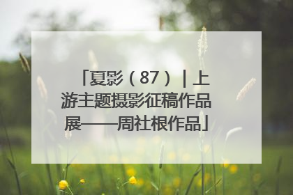夏影（87）｜上游主题摄影征稿作品展——周社根作品