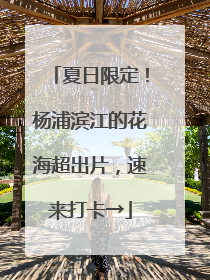 夏日限定！杨浦滨江的花海超出片，速来打卡→