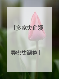 多家央企领导密集调整
