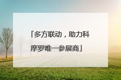 多方联动，助力科摩罗唯一参展商