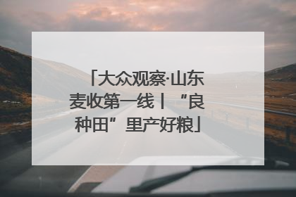 大众观察·山东麦收第一线丨“良种田”里产好粮