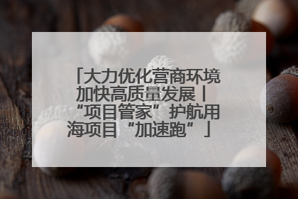大力优化营商环境 加快高质量发展丨“项目管家”护航用海项目“加速跑”