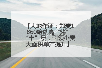 大地作证：郑麦1860绘就高“烤”“丰”景，引领小麦大面积单产提升