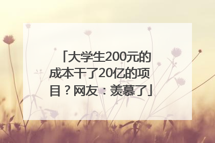 大学生200元的成本干了20亿的项目？网友：羡慕了